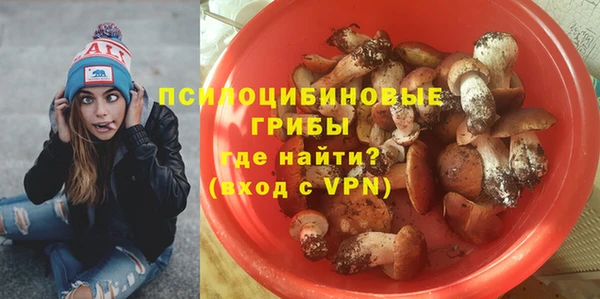 ГАЛЛЮЦИНОГЕННЫЕ ГРИБЫ Балахна