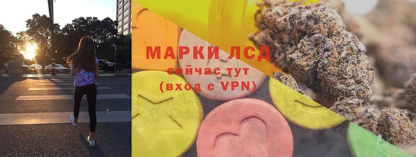 ГАЛЛЮЦИНОГЕННЫЕ ГРИБЫ Балахна