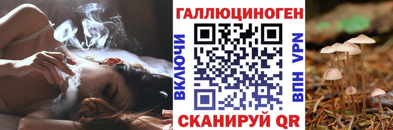 ОМГ ОМГ зеркало  Покровск  Псилоцибиновые грибы Psilocybine cubensis 